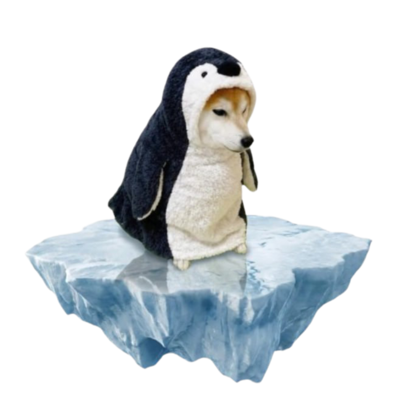 Momo the Shiba in a penguin costume